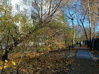 Купить квартиру г Москва, пр-кт Андропова, д 33 к 2 19500000 рублей