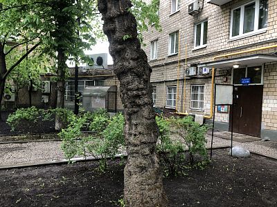 Купить квартиру г Москва, ул Большая Якиманка, д 54 23300000 рублей