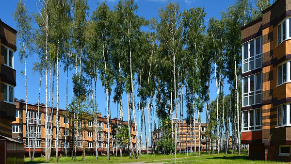 Фото 2