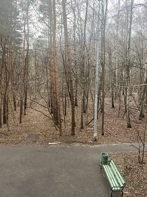 Купить квартиру г Москва, Рублёвское шоссе, д 111 17500000 рублей