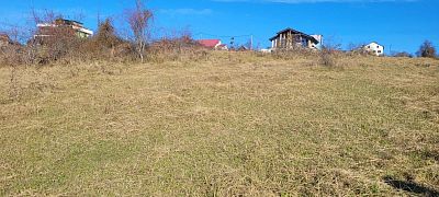 Купить земельный участок Краснодарский край, городской округ Сочи, село Красная Воля 3990000 рублей