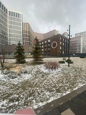 Купить квартиру г Москва, Шелепихинская наб, д 34 к 3 30300000 рублей
