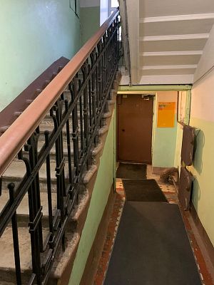 Купить квартиру г Санкт-Петербург, линия 3-я В.О., д 24 19500000 рублей