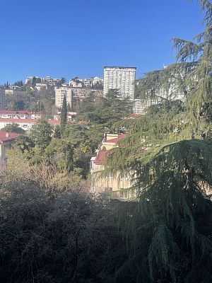 Купить квартиру г Сочи, ул Цветной бульвар, д 15 12000000 рублей