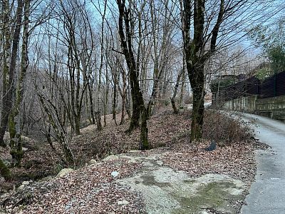 Купить дом г Сочи, село Прогресс, Ахунский пер, д 5/6 350000000 рублей