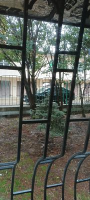 Купить квартиру г Сочи, ул Абрикосовая, д 17А 28888888 рублей