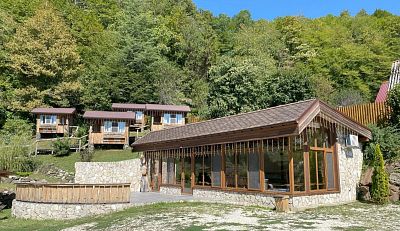 Купить дом Краснодарский край, городской округ Сочи, село Медовеевка, Медовеевская улица, 45 330000000 рублей