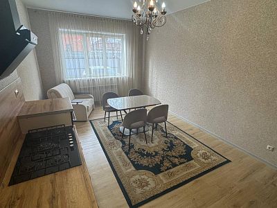 Купить дом г Люберцы, тер. СНТ Ручеек, д 173А 26300000 рублей
