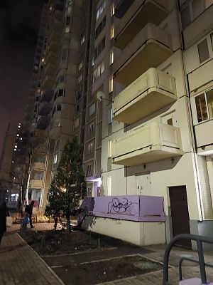 Купить квартиру г Химки, ул Молодежная, д 68 10700000 рублей