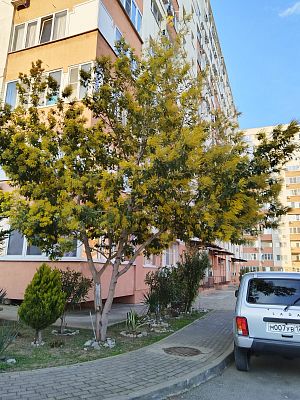 Купить квартиру г Сочи, р-н Адлерский, ул Худякова, д 7 к 2 12500000 рублей
