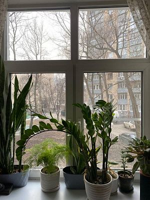 Купить квартиру г Москва, ул Новолесная, д 1/49 28990000 рублей