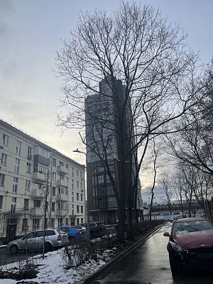 Купить квартиру г Москва, Красногвардейский б-р, д 15 стр 2 47500000 рублей