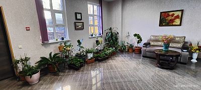 Купить квартиру г Сочи, ул Макаренко, д 34/18 10700000 рублей