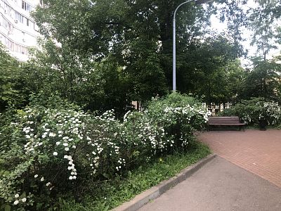 Купить квартиру г Москва, ул Новокузнецкая, д 13 стр 1 21000000 рублей