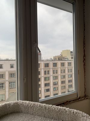 Купить квартиру г Москва, Конный пер, д 4 60000000 рублей