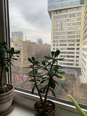 Купить квартиру г Москва, Конный пер, д 4 60000000 рублей