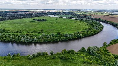 Купить земельный участок Московская область, Раменский муниципальный округ, территориальное управление Софьинское 1000000000 рублей