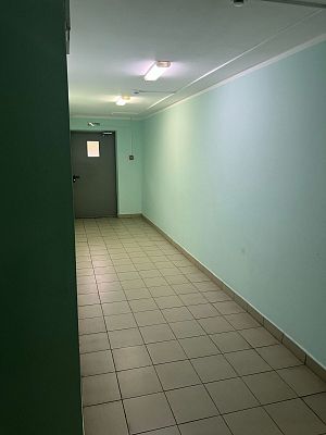 Купить квартиру Краснодарский край, г Сочи, р-н Хостинский, ул Тепличная, д 79 26500000 рублей