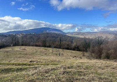 Купить земельный участок г Сочи, село Красная Воля 7900000 рублей