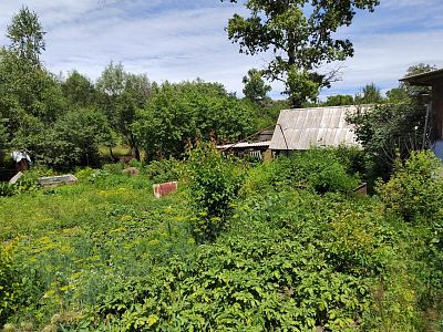 Купить дом г Хабаровск, ул Осиповка, д 34а 3600000 рублей