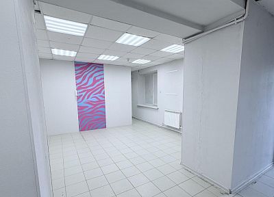 Купить помещение свободного назначения г Санкт-Петербург, пр-кт Просвещения, д 33 к 1 15000000 рублей
