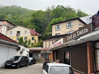 Купить дом г Сочи, р-н Хостинский, ул Чекменева, д 11/7 75000000 рублей