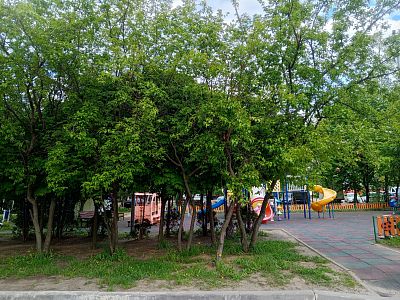 Купить квартиру г Москва, Солнцевский пр-кт, д 6 к 1 43000000 рублей