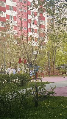 Купить квартиру г Москва, Боровское шоссе, д 39 17200000 рублей