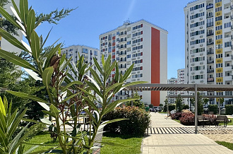 Фото 4