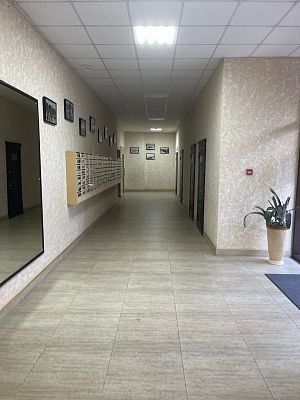 Купить квартиру г Сочи, р-н Адлерский, ул Кирова, д 35 52000000 рублей