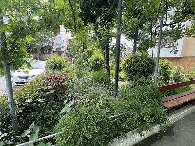 Купить квартиру г Сочи, р-н Адлерский, ул Молокова, д 30 25900000 рублей