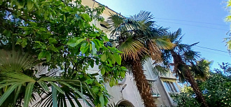 Фото 9