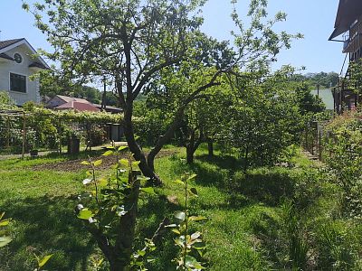 Купить дом г Сочи, село Орел-Изумруд, ул Банановая, д 16 30000000 рублей