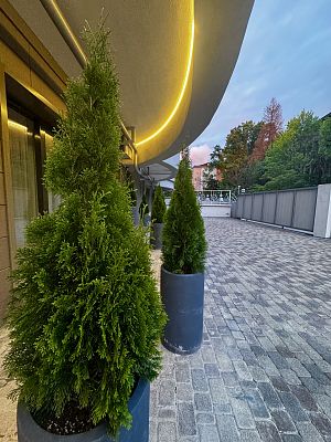 Купить квартиру г Сочи, ул Пирогова, д 30 38000000 рублей