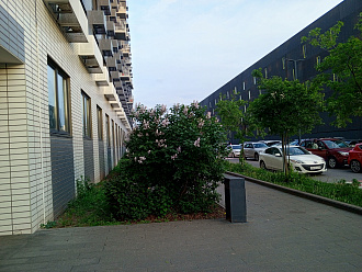 Фото 3
