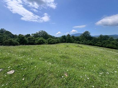 Купить земельный участок Краснодарский край, г Сочи, село Красная Воля 6700000 рублей