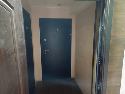 Купить квартиру пгт Сириус, ул Урожайная, д 71/1 к 6 30500000 рублей