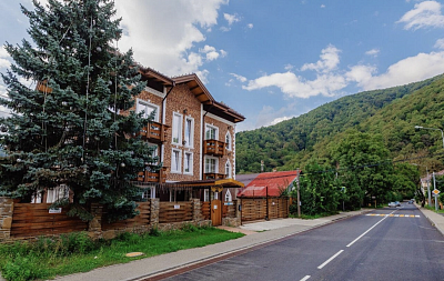 Купить готовый бизнес Краснодарский край, г Сочи, село Эстосадок, ул Переселенческая, д 11 400000000 рублей