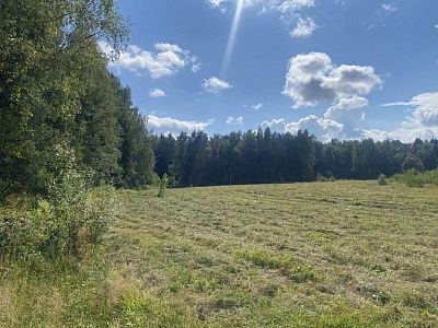 Купить земельный участок Московская область, городской округ Пушкинский, КП Михалёво парк 4000000 рублей
