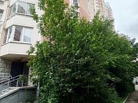 Купить квартиру г Москва, ул Главмосстроя, д 14 11800000 рублей