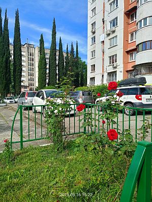Купить квартиру г Сочи, ул Абрикосовая, д 17А 21500000 рублей