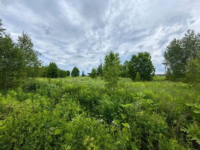 Купить земельный участок г Москва, Филимонковский р-н, деревня Ширяево, Берёзовая ал, д 25 15000000 рублей