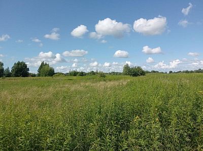 Купить земельный участок Калининградская обл, Славский р-н, поселок Левобережное 5900000 рублей