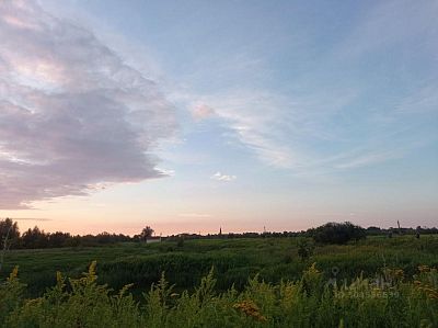 Купить земельный участок Калининградская обл, Славский р-н, поселок Левобережное 5900000 рублей