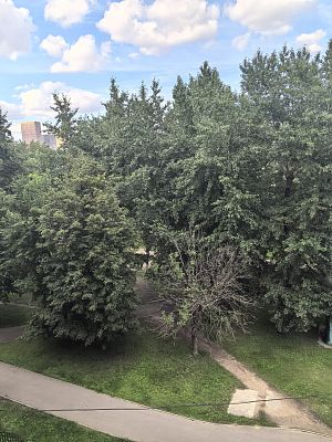 Купить квартиру г Москва, ул Шарикоподшипниковская, д 32 43800000 рублей