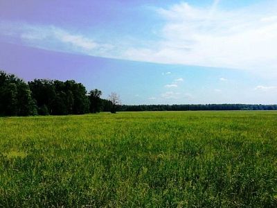 Купить земельный участок Калининградская область, Мамоновский городской округ, посёлок Зеленодольское 1300000 рублей