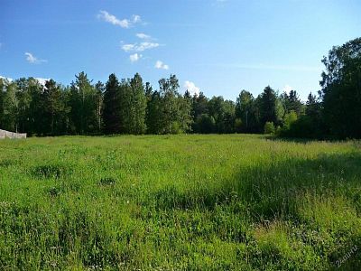 Купить земельный участок Калининградская область, Мамоновский городской округ, посёлок Зеленодольское 1300000 рублей