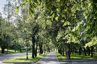 Фото 19