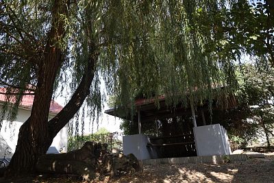 Купить готовый бизнес г Анапа, ст-ца Благовещенская, Лазурный пер, д 18 110000000 рублей