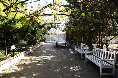 Купить готовый бизнес г Анапа, ст-ца Благовещенская, Лазурный пер, д 18 110000000 рублей